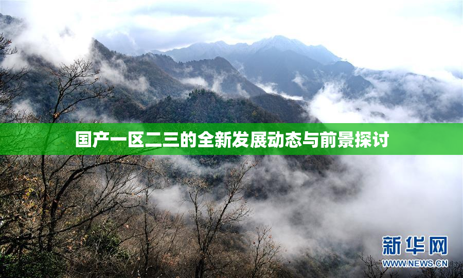 国产一区二三的全新发展动态与前景探讨