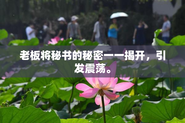 老板将秘书的秘密一一揭开，引发震荡。