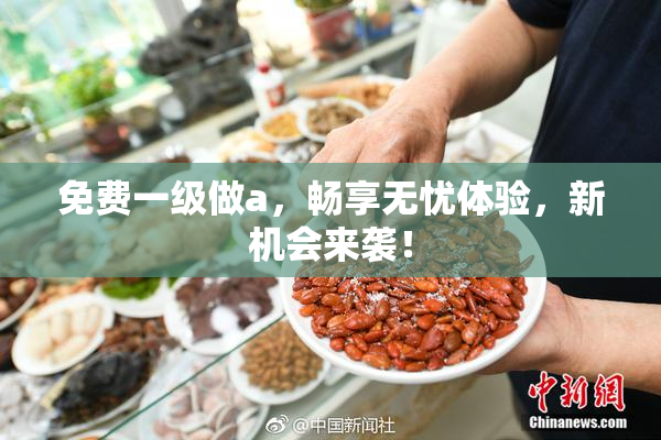 免费一级做a，畅享无忧体验，新机会来袭！