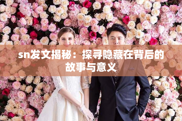 sn发文揭秘：探寻隐藏在背后的故事与意义