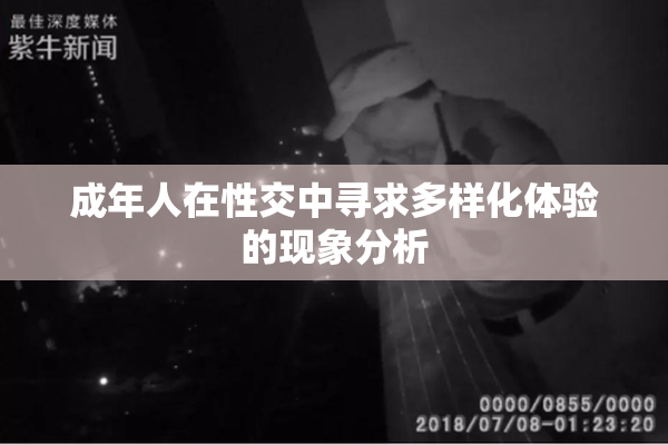 成年人在性交中寻求多样化体验的现象分析