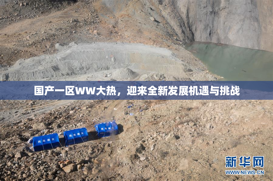 国产一区WW大热，迎来全新发展机遇与挑战