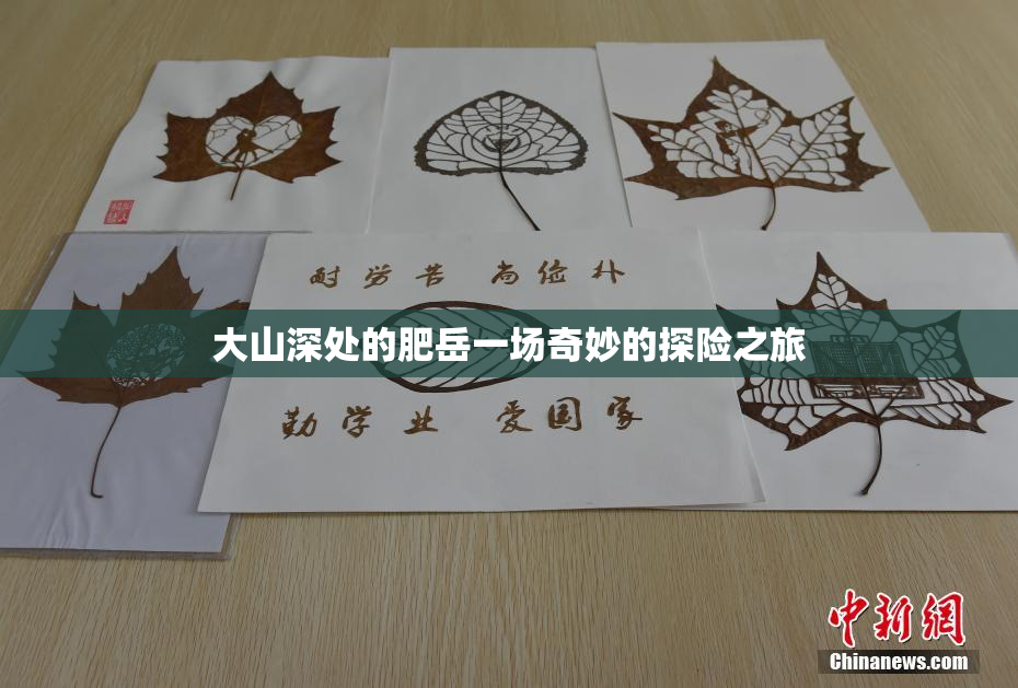 大山深处的肥岳一场奇妙的探险之旅