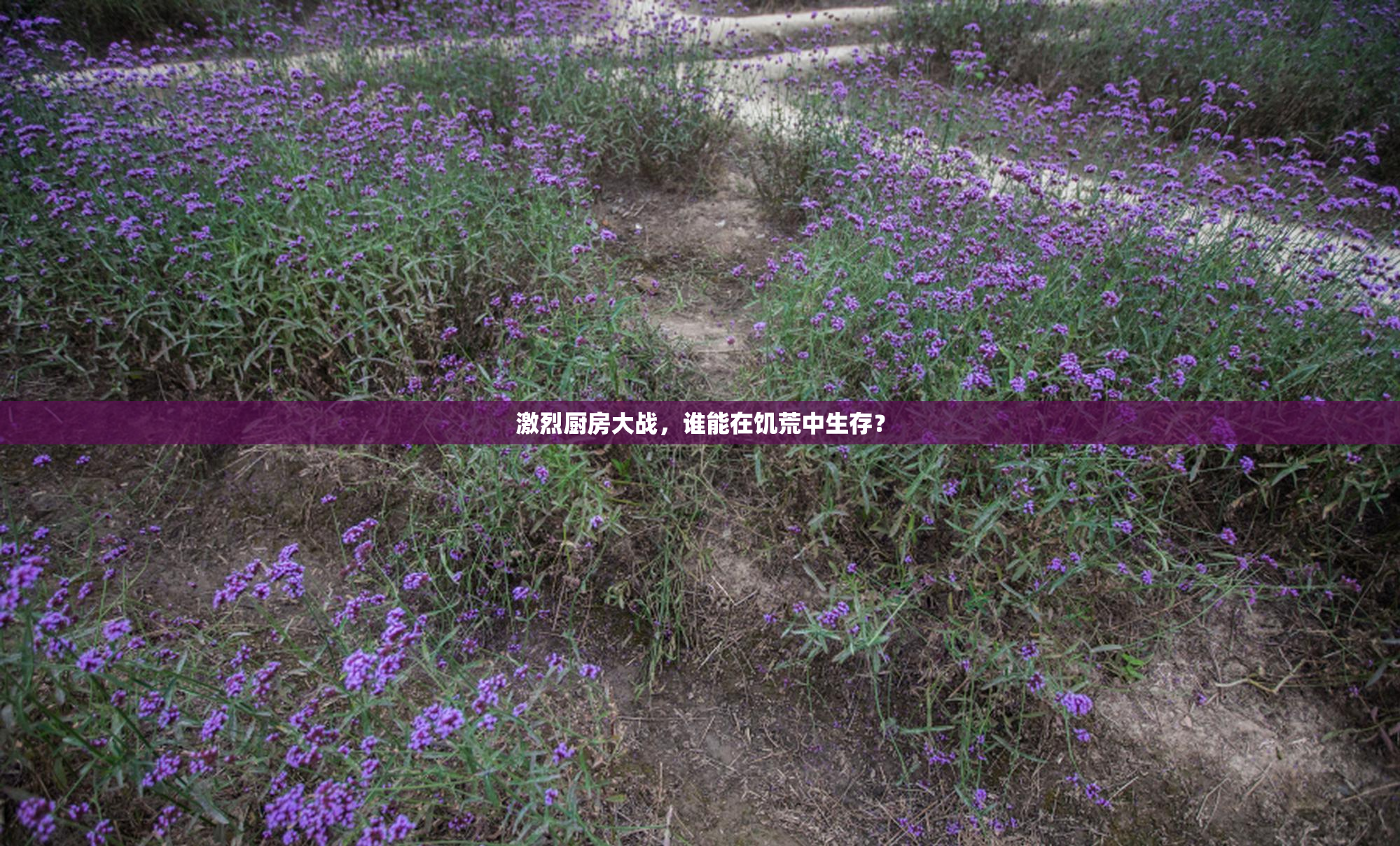 激烈厨房大战，谁能在饥荒中生存？