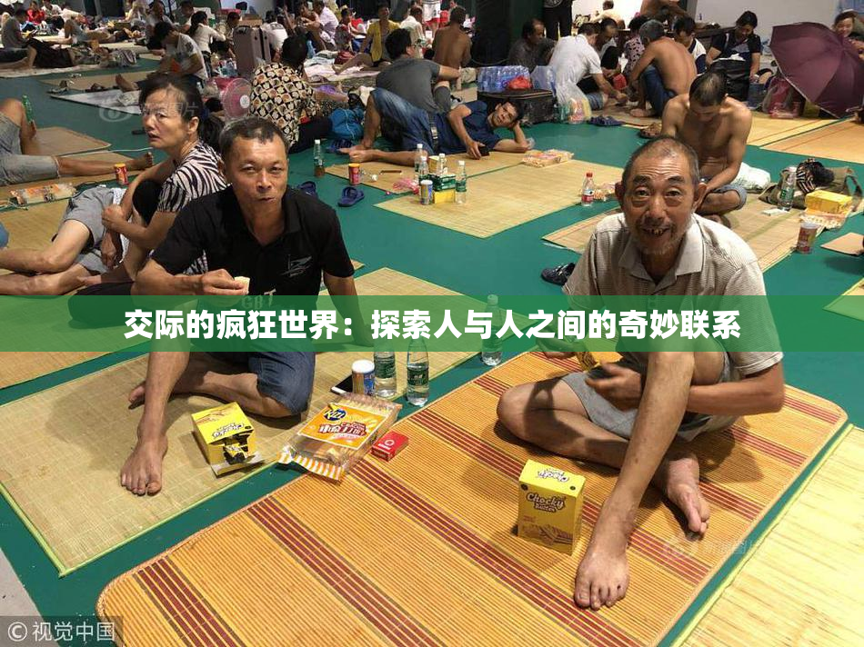 交际的疯狂世界：探索人与人之间的奇妙联系