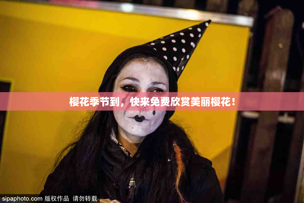 樱花季节到，快来免费欣赏美丽樱花！