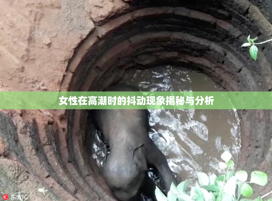 女性在高潮时的抖动现象揭秘与分析