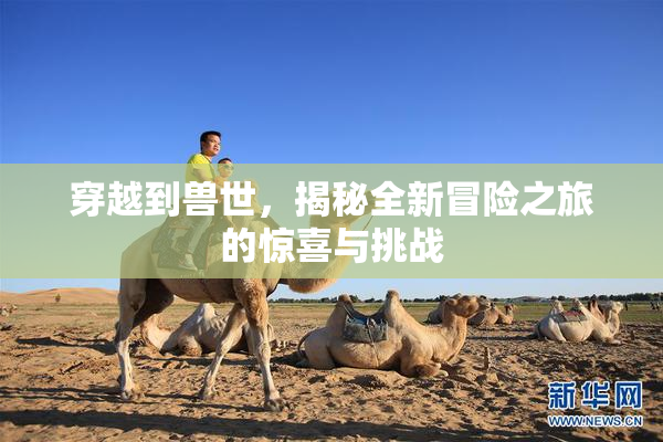 穿越到兽世，揭秘全新冒险之旅的惊喜与挑战