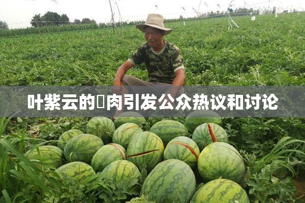 叶紫云的婬肉引发公众热议和讨论