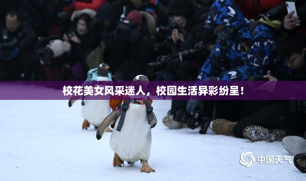 校花美女风采迷人，校园生活异彩纷呈！