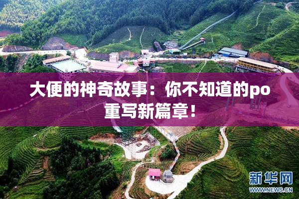 大便的神奇故事：你不知道的po重写新篇章！