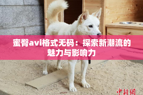 蜜臀avi格式无码：探索新潮流的魅力与影响力
