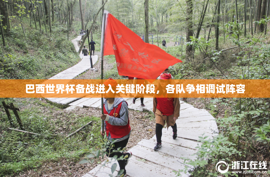 巴西世界杯备战进入关键阶段，各队争相调试阵容