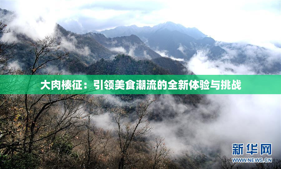 大肉楱征：引领美食潮流的全新体验与挑战
