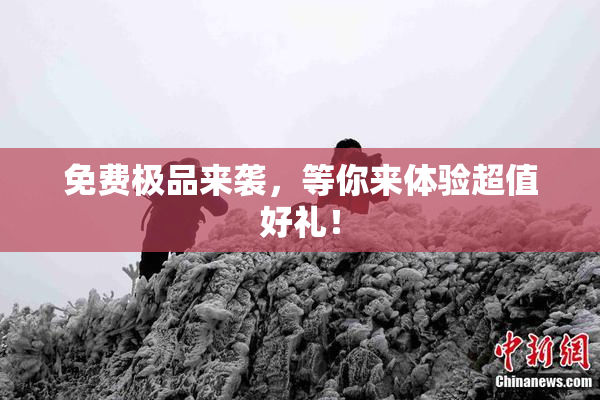 免费极品来袭，等你来体验超值好礼！