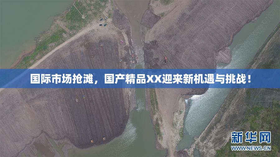 国际市场抢滩，国产精品XX迎来新机遇与挑战！