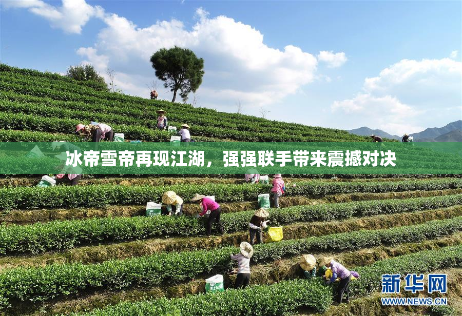 冰帝雪帝再现江湖，强强联手带来震撼对决