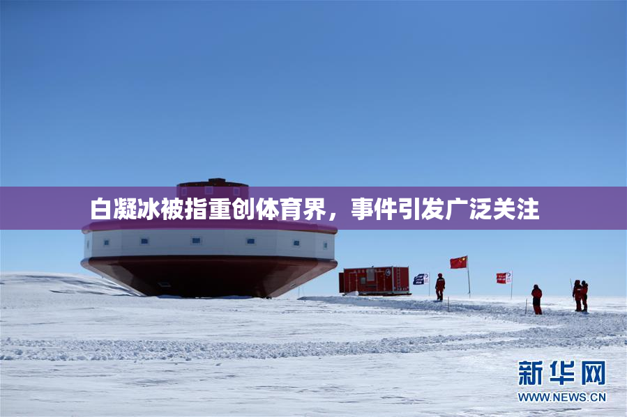 白凝冰被指重创体育界，事件引发广泛关注