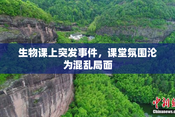 生物课上突发事件，课堂氛围沦为混乱局面