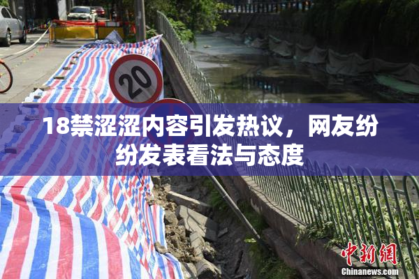 18禁涩涩内容引发热议，网友纷纷发表看法与态度