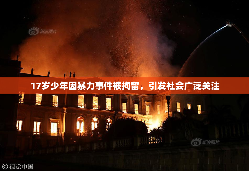 17岁少年因暴力事件被拘留，引发社会广泛关注