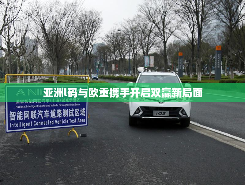 亚洲l码与欧重携手开启双赢新局面
