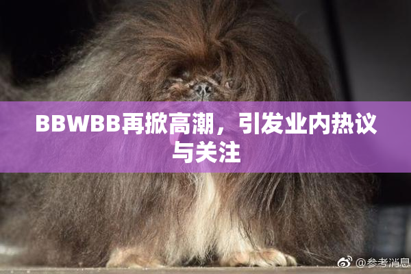 BBWBB再掀高潮，引发业内热议与关注