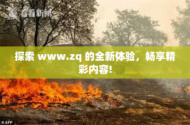 探索 www.zq 的全新体验，畅享精彩内容!