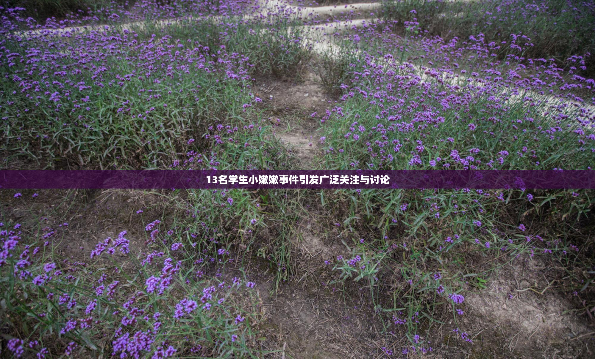 13名学生小嫩嫩事件引发广泛关注与讨论