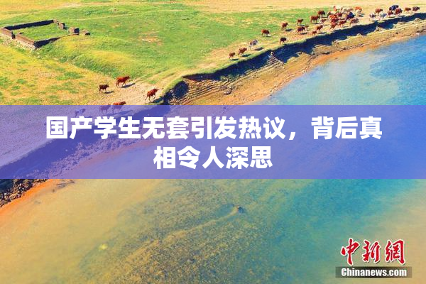 国产学生无套引发热议，背后真相令人深思