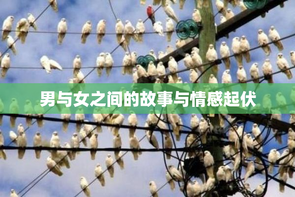 男与女之间的故事与情感起伏
