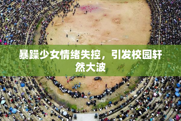 暴躁少女情绪失控，引发校园轩然大波