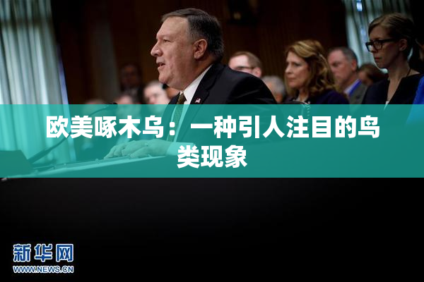 欧美啄木乌：一种引人注目的鸟类现象