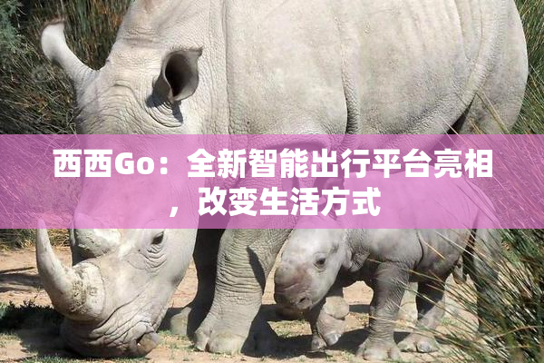 西西Go：全新智能出行平台亮相，改变生活方式