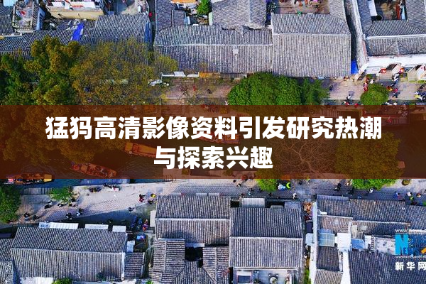 猛犸高清影像资料引发研究热潮与探索兴趣