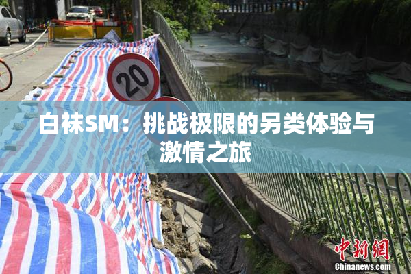 白袜SM：挑战极限的另类体验与激情之旅