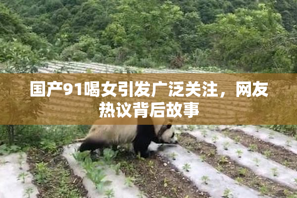 国产91喝女引发广泛关注，网友热议背后故事
