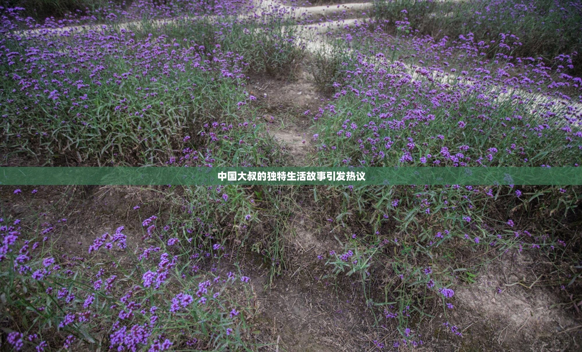 中国大叔的独特生活故事引发热议