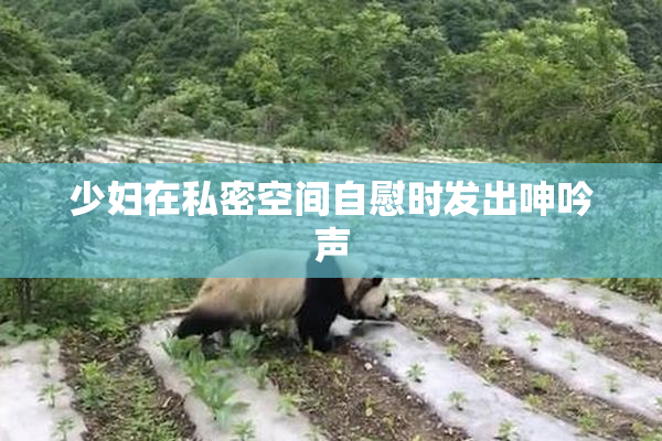 少妇在私密空间自慰时发出呻吟声