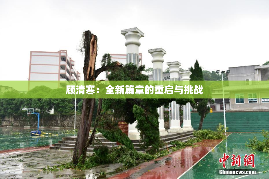 顾清寒：全新篇章的重启与挑战