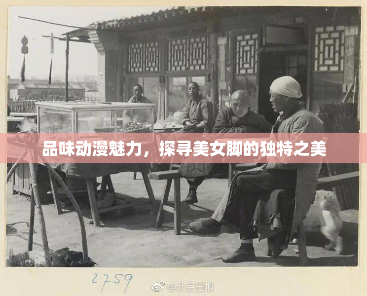 品味动漫魅力，探寻美女脚的独特之美