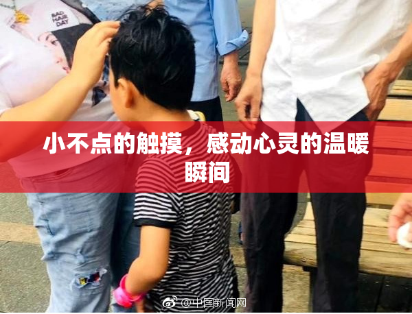 小不点的触摸，感动心灵的温暖瞬间