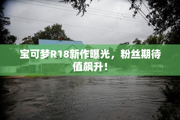 宝可梦R18新作曝光，粉丝期待值飙升！