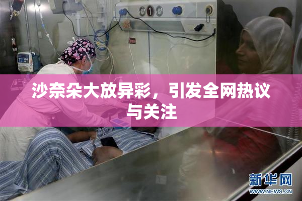 沙奈朵大放异彩，引发全网热议与关注