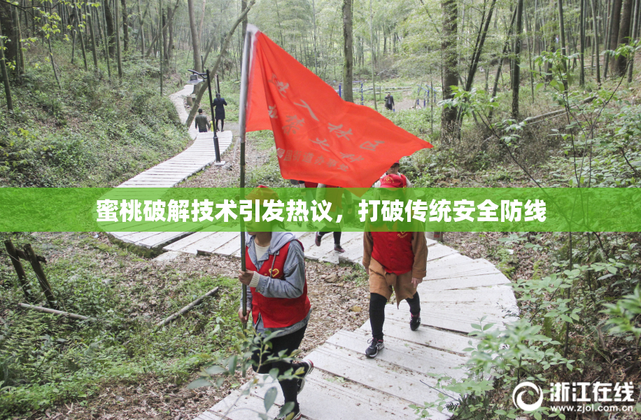 蜜桃破解技术引发热议，打破传统安全防线