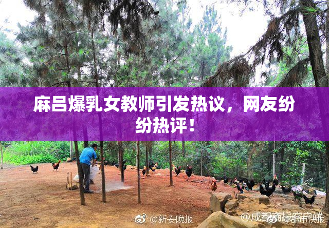 麻吕爆乳女教师引发热议，网友纷纷热评！