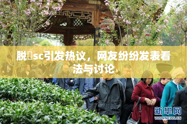 脱糞sc引发热议，网友纷纷发表看法与讨论