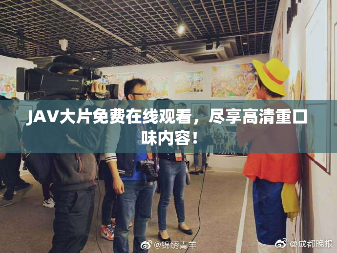 JAV大片免费在线观看，尽享高清重口味内容！