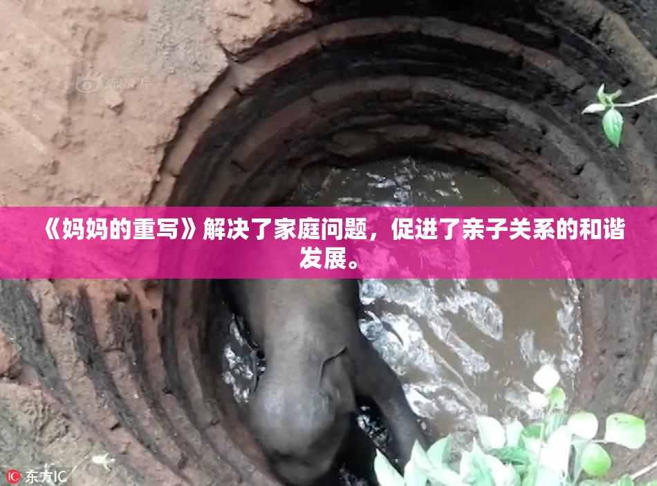 《妈妈的重写》解决了家庭问题，促进了亲子关系的和谐发展。