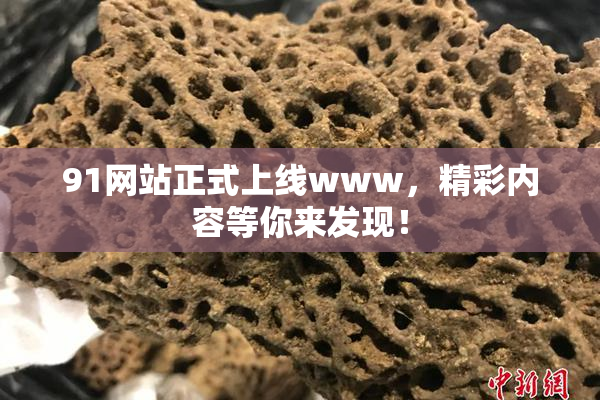 91网站正式上线www，精彩内容等你来发现！